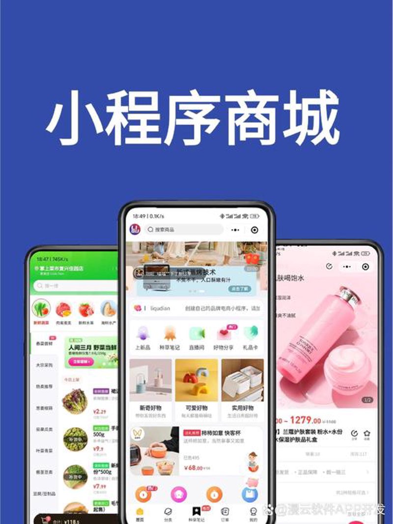 小程序开发在零售行业的应用与变革